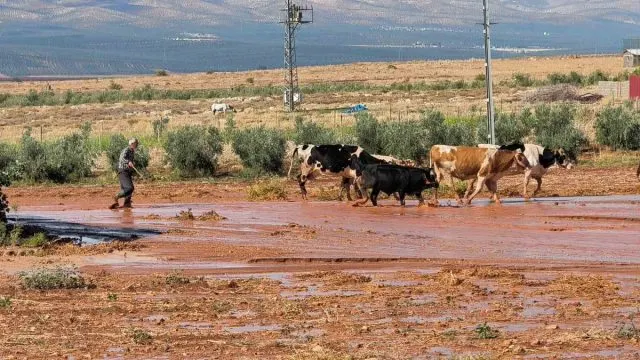Reyhanlı’da Sağanak Sele Yol Açtı: Tarım Arazileri Ve Ahırlar Zarar Gördü