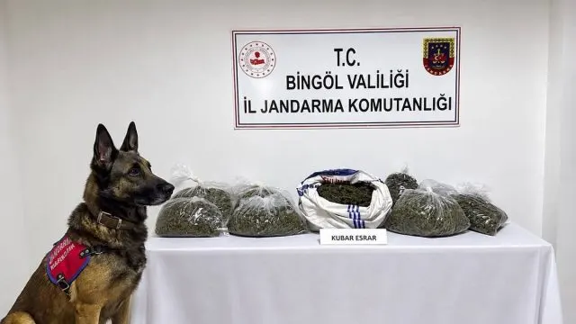 Bingöl'de Jandarma 25 Olaya Müdahale Etti: Uyuşturucu Ve Silah Ele Geçirildi Bingöl'de Jandarma 25 Olaya Müdahale Etti: Uyuşturucu Ve Silah Ele Geçirildi