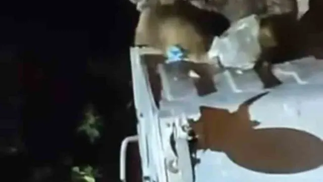 Sarıalan'da Yiyecek Arayan Ayı Çöp Konteynerlerini Karıştırdı Sarıalan'da Yiyecek Arayan Ayı Çöp Konteynerlerini Karıştırdı