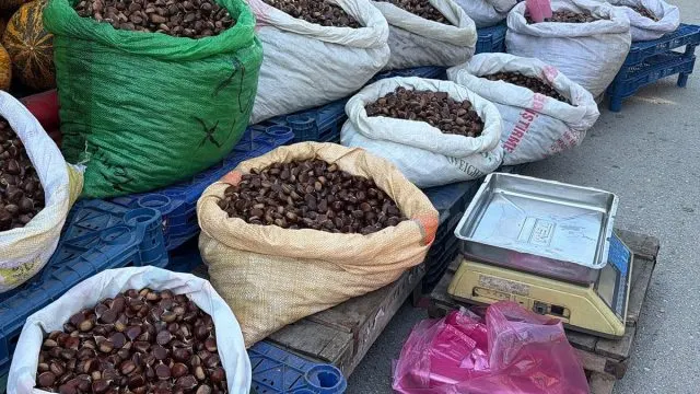 Bolu Pazarlarında Kestane Sezonu Başladı Bolu Pazarlarında Kestane Sezonu Başladı