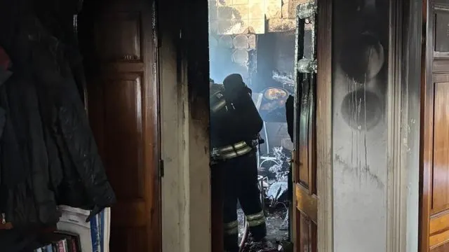 Bodrum'daki Ev Yangınında Kedi Telef Oldu Bodrum'daki Ev Yangınında Kedi Telef Oldu