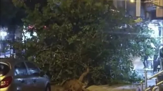 Siirt'te Fırtına Ağaçları Devirdi, Dışarı Çıkmayın Uyarısı Yapıldı