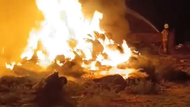 Karacabey'deki Çiftlik Yangınında Hayvanlar Kurtarıldı Karacabey'deki Çiftlik Yangınında Hayvanlar Kurtarıldı
