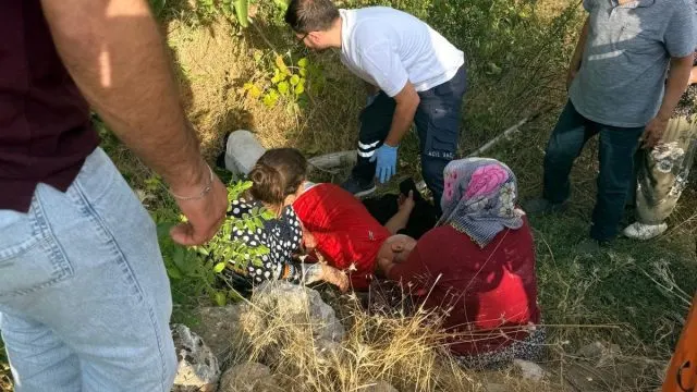 Ceviz Toplarken Ağaçtan Düşen Bünyamin Özet Yaralandı