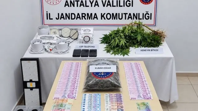 Manavgat'ta Evde Kenevir Yetiştiren Şüpheli Yakalandı