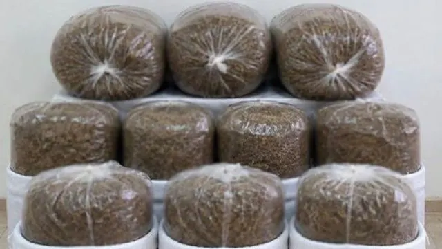 Antalya’da Üç İ̇lçede Kaçak Tütün Baskını