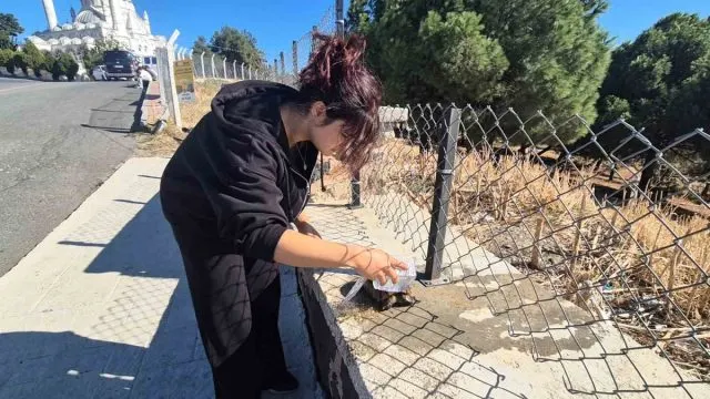 Tekirdağ Süleymanpaşa'da Yangından Kurtarılan Kaplumbağaya Vatandaş Sahip Çıktı