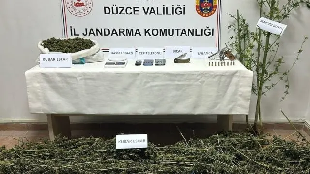 Düzce Gümüşova'da Eş Zamanlı Uyuşturucu Operasyonu: 2 Kişi Gözaltında