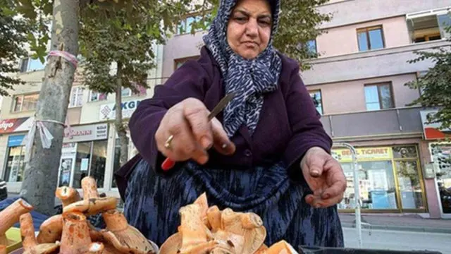 Bolu Pazarlarında Kanlıca Mantarı Hareketliliği: Kilosu 600 Liraya Ulaşıyor