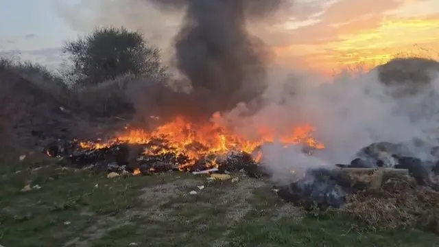 Şahinköy'deki Boş Arazide Yangın Büyümeden Söndürüldü