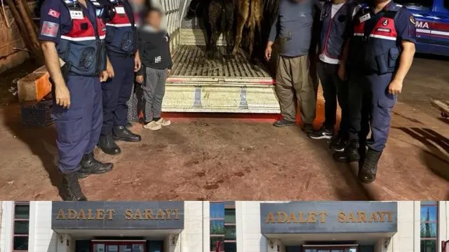 Korkuteli'de Çalınan Hayvanların İ̇zinde Bir Şüpheli Tutuklandı