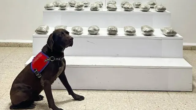 Başkale'de Araçta 10 Kilo 111 Gram Toz Esrar Ele Geçirildi