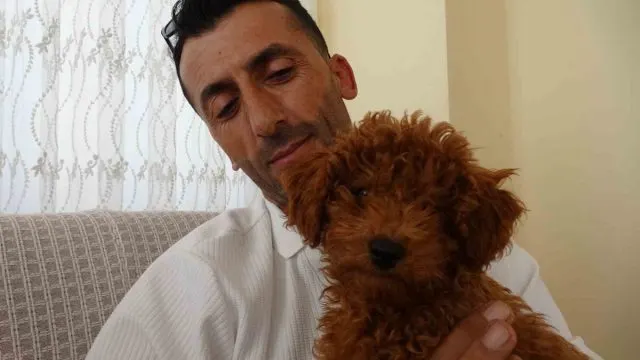 Antalya'da Otobüste Oyuncak Sanılan Köpek Şoföre Yuva Oldu