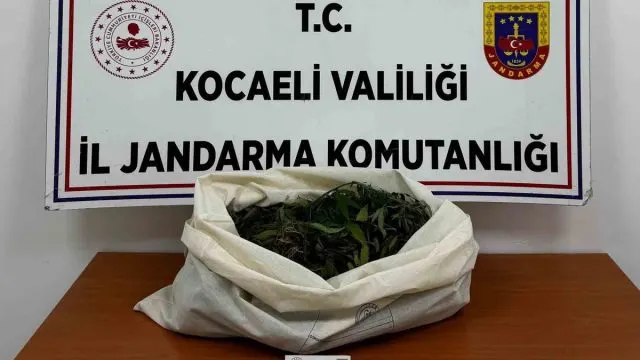 Kocaeli’de Dört İlçedeki Operasyonlarda 7 Şüpheliye Adli İşlem Kocaeli’de Dört İlçedeki Operasyonlarda 7 Şüpheliye Adli İşlem
