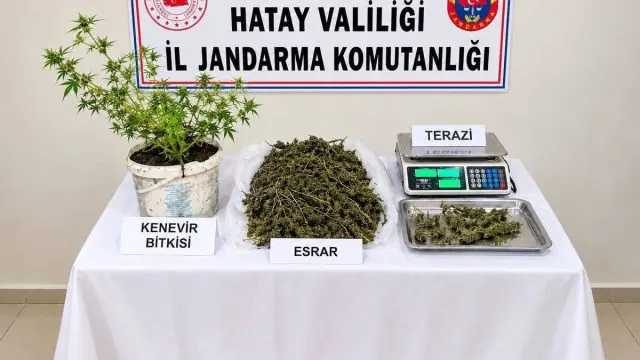 Kumlu'da Jandarma Operasyonu: 3 Bin 578 Gram Esrar Ele Geçirildi Kumlu'da Jandarma Operasyonu: 3 Bin 578 Gram Esrar Ele Geçirildi