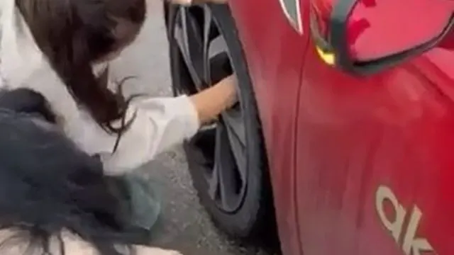 Bursa'da Korkup Teker Bölümüne Giren Yavru Kedi Kurtarıldı Bursa'da Korkup Teker Bölümüne Giren Yavru Kedi Kurtarıldı