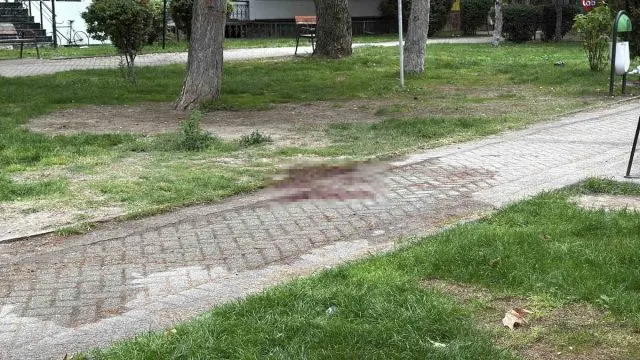 Eskişehir’de Alkol Sonrası Çıkan Kavgada Bir Kişi Bıçaklandı