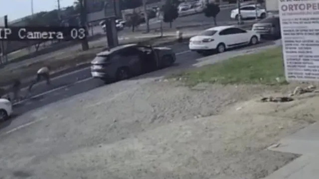 Kızıltepe’de Yola Dökülen Sebze Ve Meyveler Birlikte Toplandı