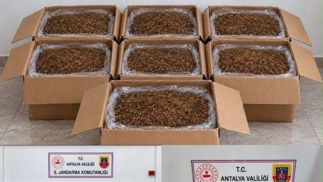 Alanya Ve Döşemealtı'nda Kaçak Tütün Operasyonu
