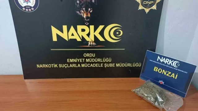 Fatsa'da Sentetik Uyuşturucu Operasyonunda Bir Şüpheli Tutuklandı