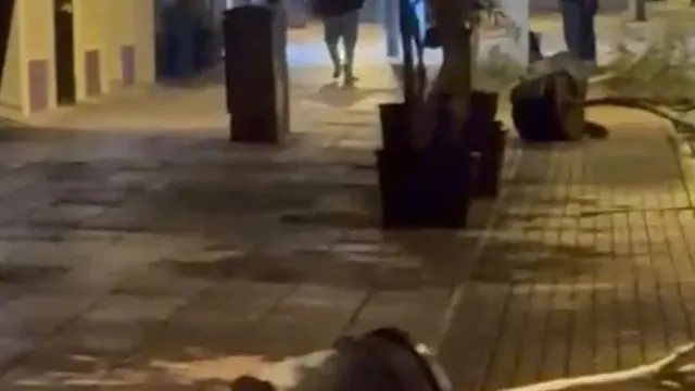 Eskişehir'de Saksıları Tek Tek Deviren Kişi Kamerada